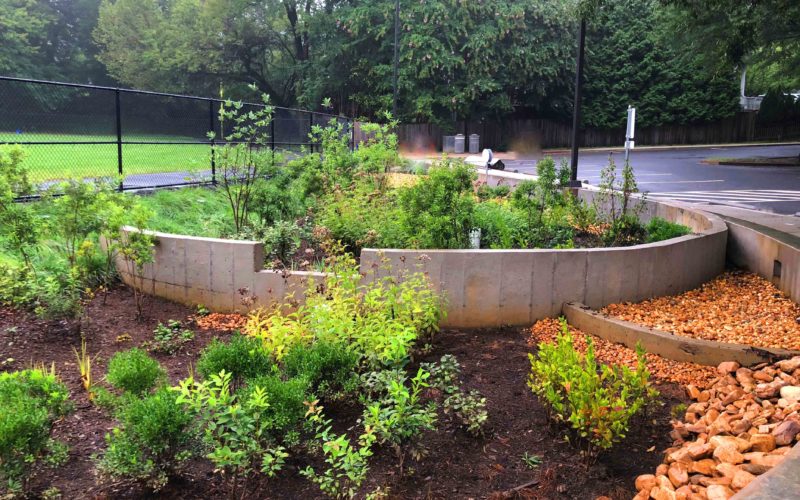 Stratford Park Bioretention - Arlington, VA