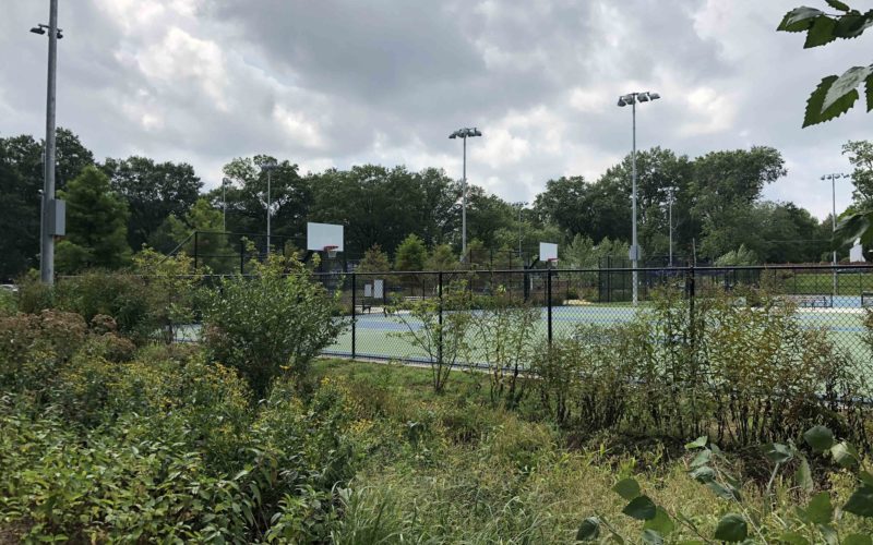 Virginia Highlands Park - Arlington County, VA